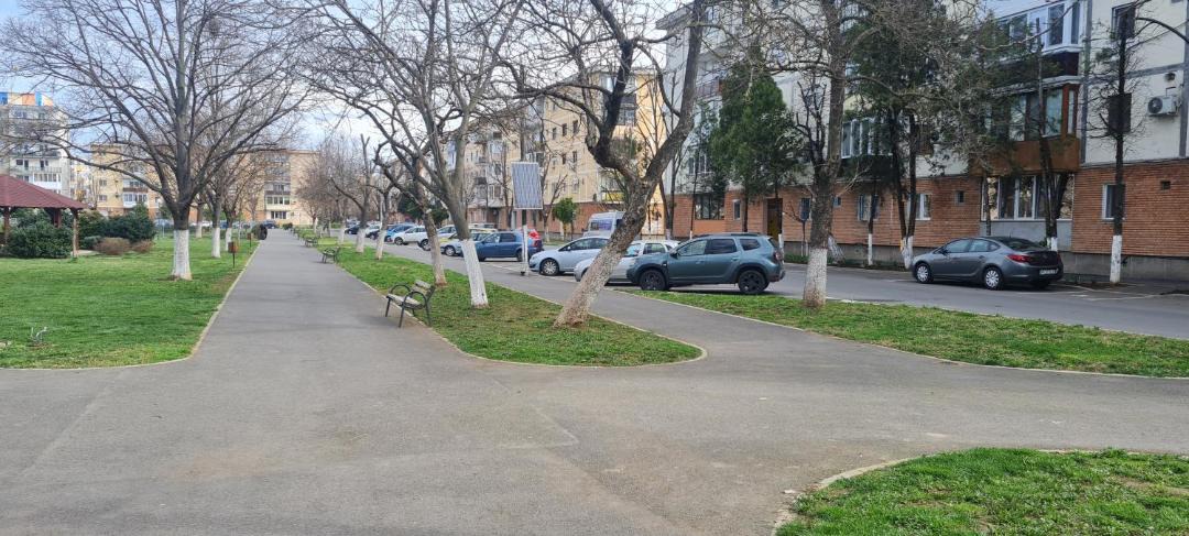 Photo of Others in Arad