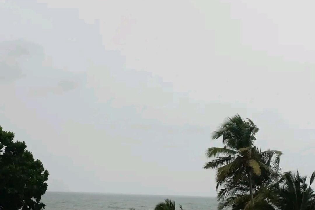 Photo of Others in Mangalore