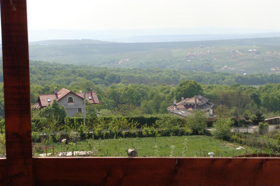 Photo of Others in Iasi