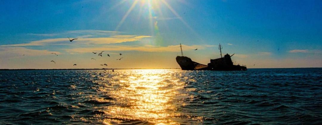 Photo of Others in Sulina
