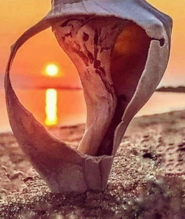 Photo of Others in Sulina