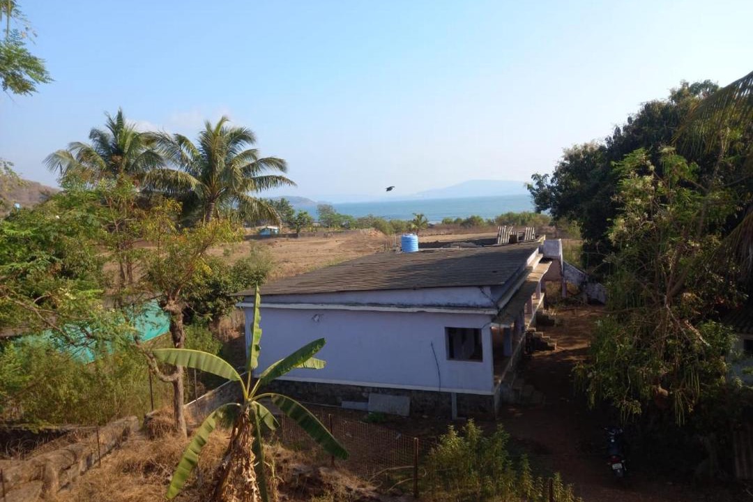 Photo of Others in Murud