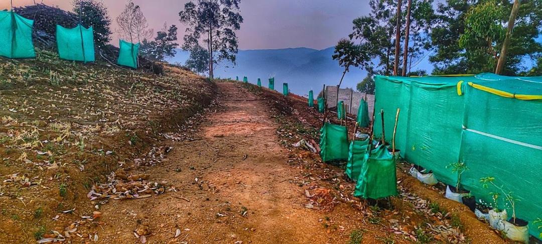 Photo of Others in Kodaikanal