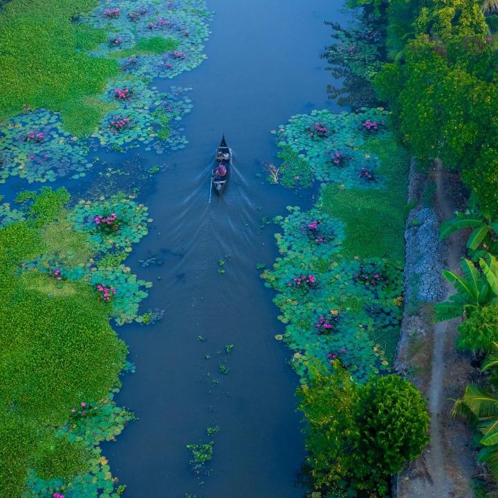 Photo of Others in Kumarakom