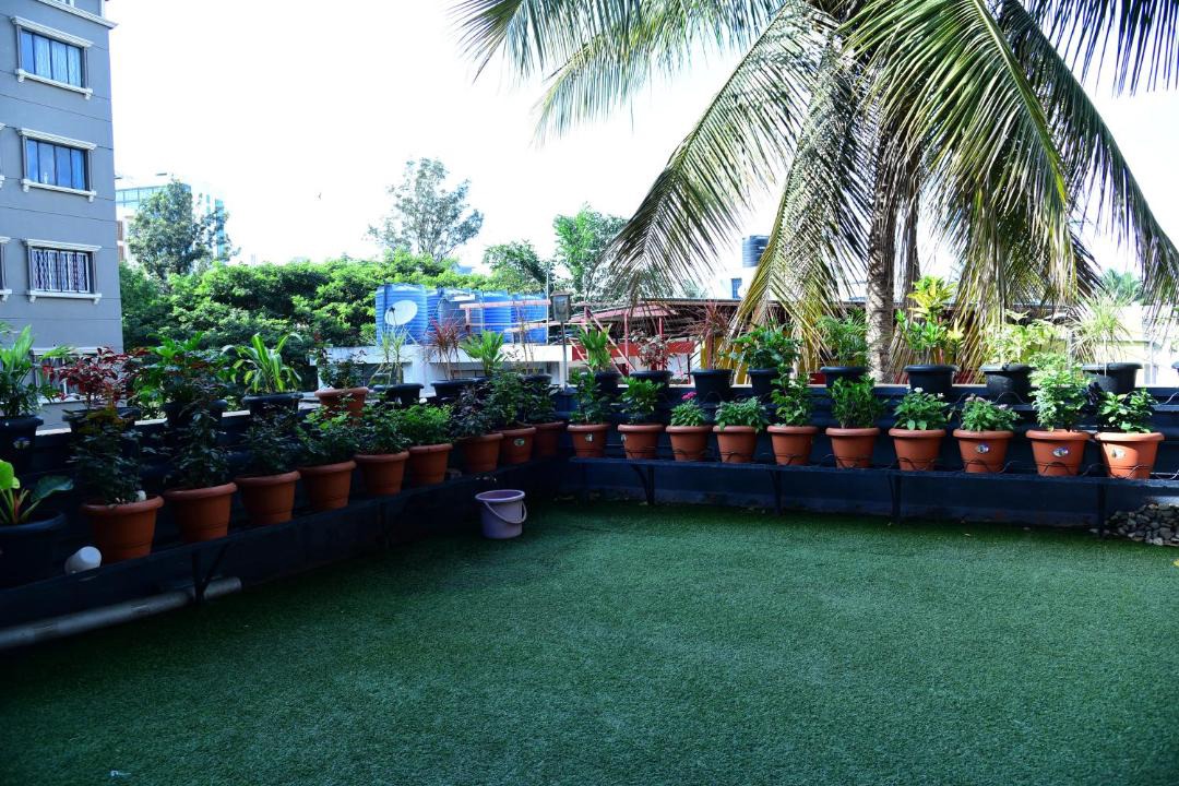 Photo of Others in Bangalore City Center