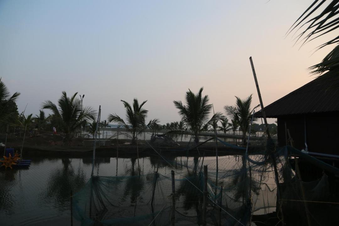 Photo of Others in Munroe Island