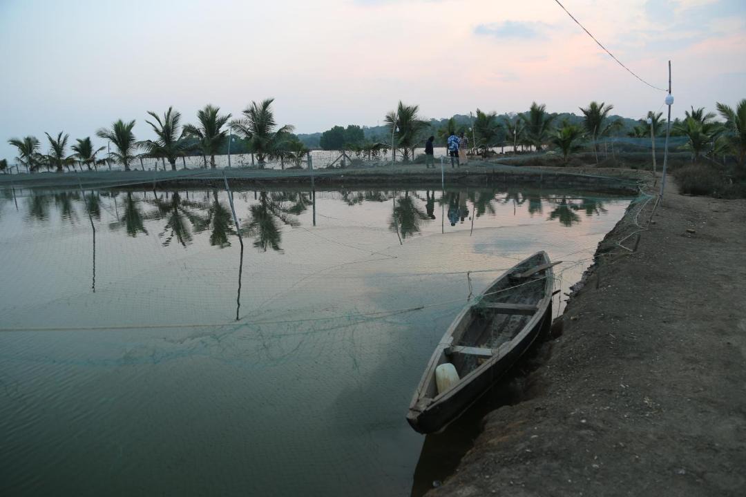Photo of Others in Munroe Island
