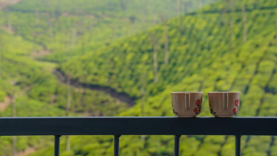 Photo of Others in Valparai