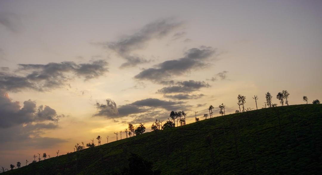 Photo of Others in Valparai