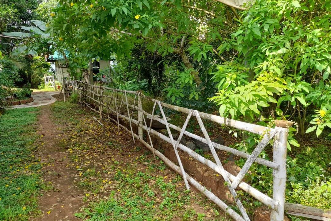 Photo of Others in Kumbla