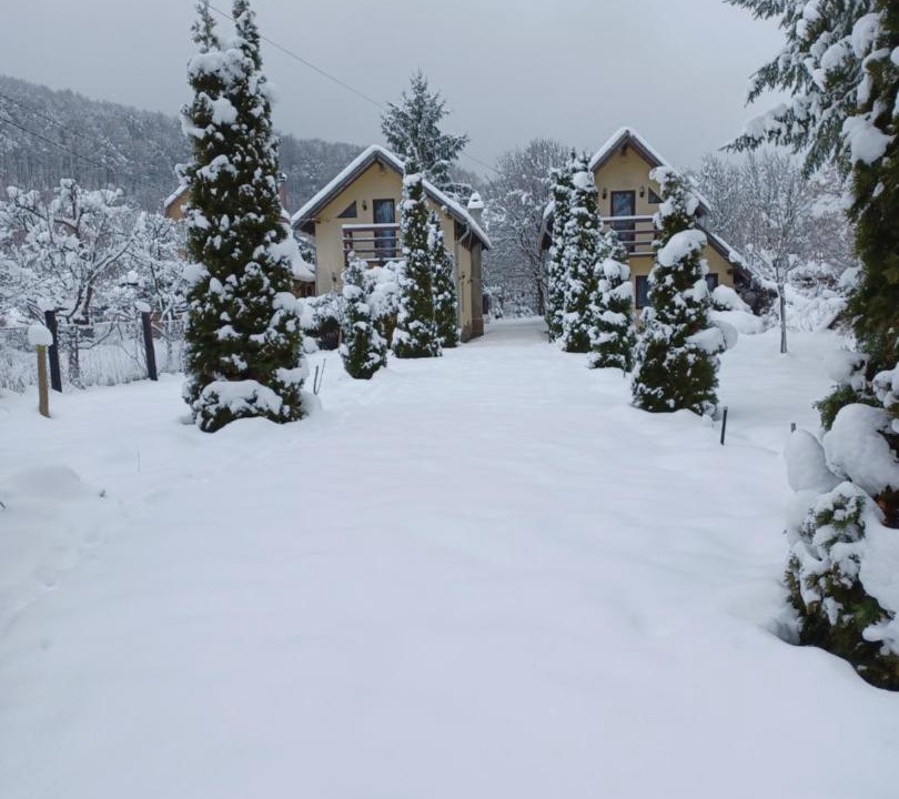 Photo of Others in Eremitu
