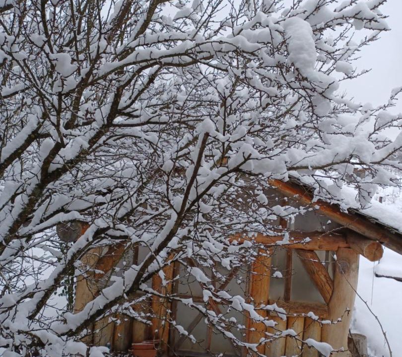 Photo of Others in Eremitu