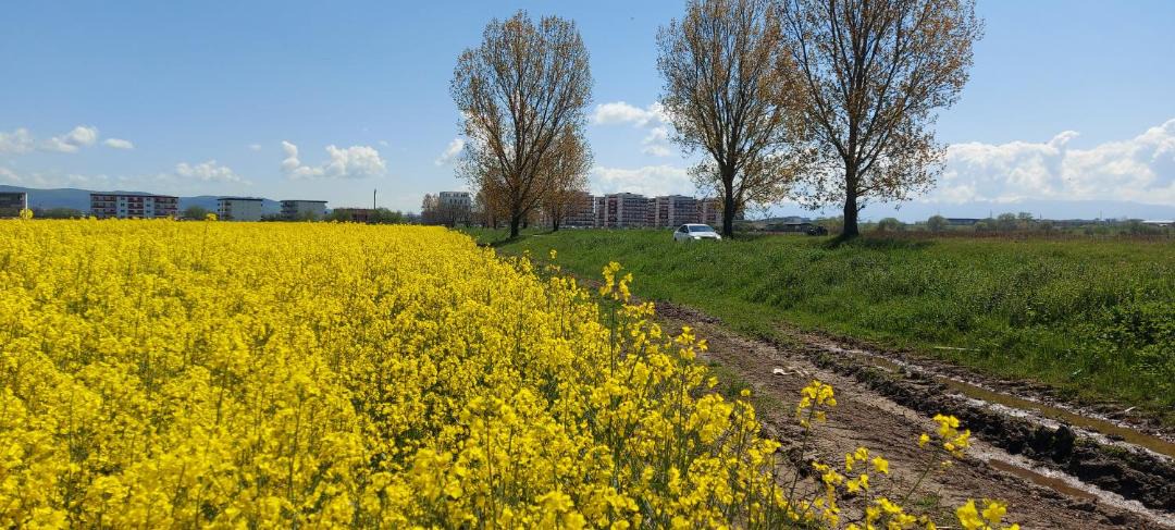 Photo of Others in Sibiu