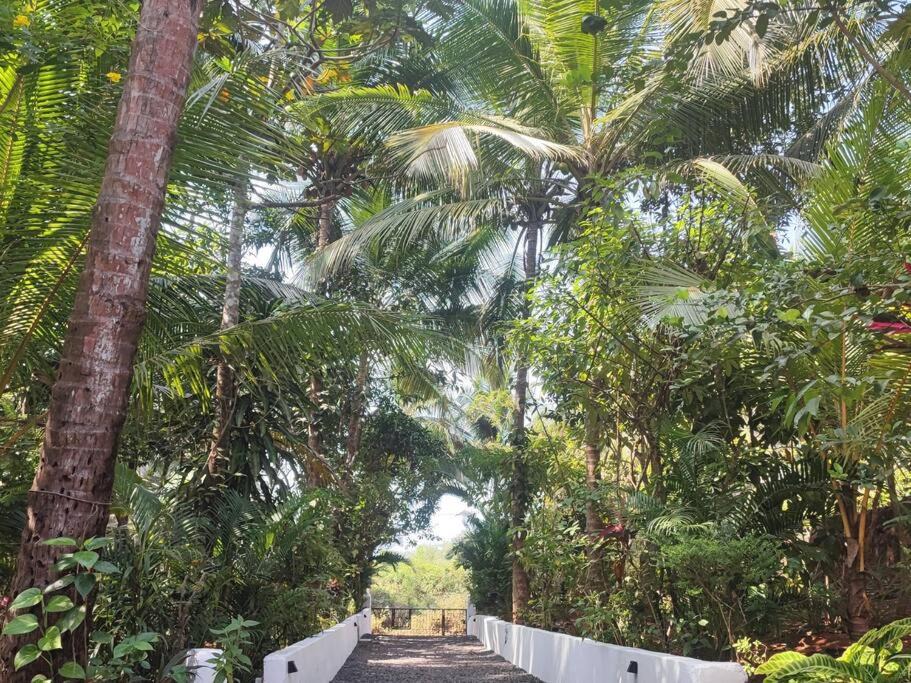 Photo of Others in Patnem