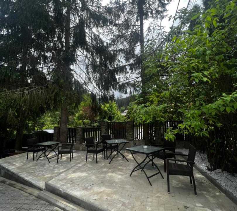 Photo of Outdoor in Vatra Dornei