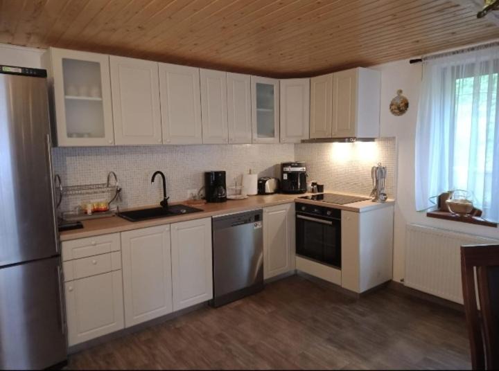 Photo of Kitchen in Cartisoara