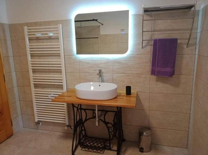Photo of Bathroom in Cartisoara