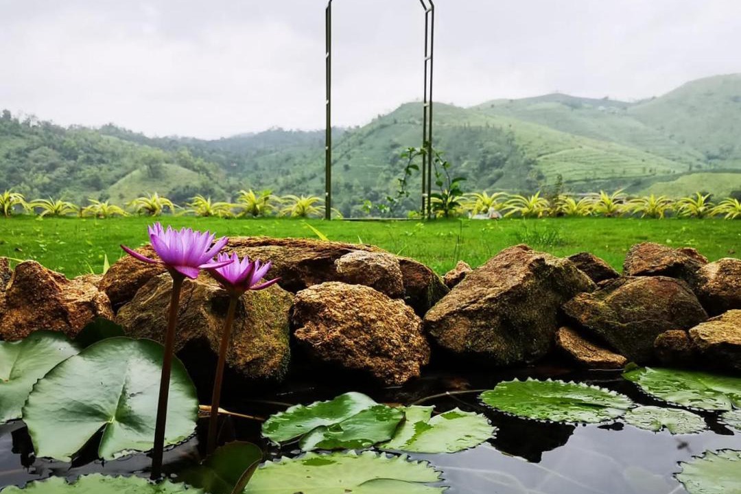 Photo of Others in Elappara