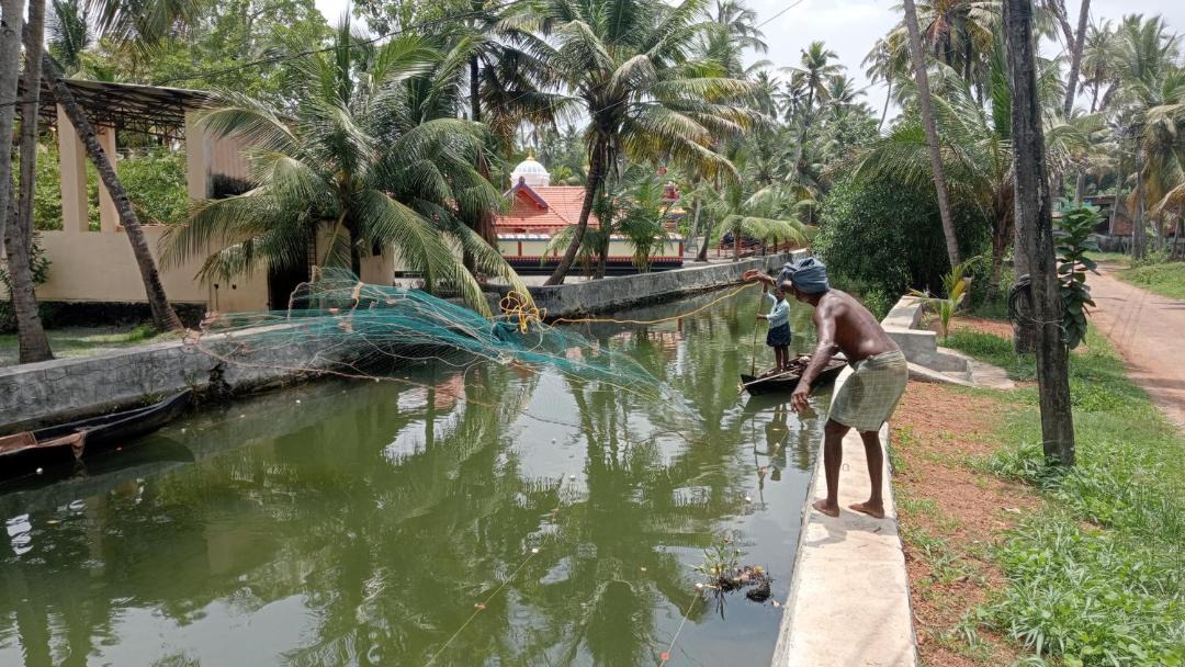 Photo of Others in Munroe Island