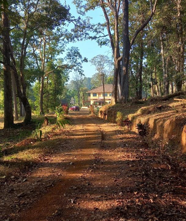 Photo of Others in Yellapur
