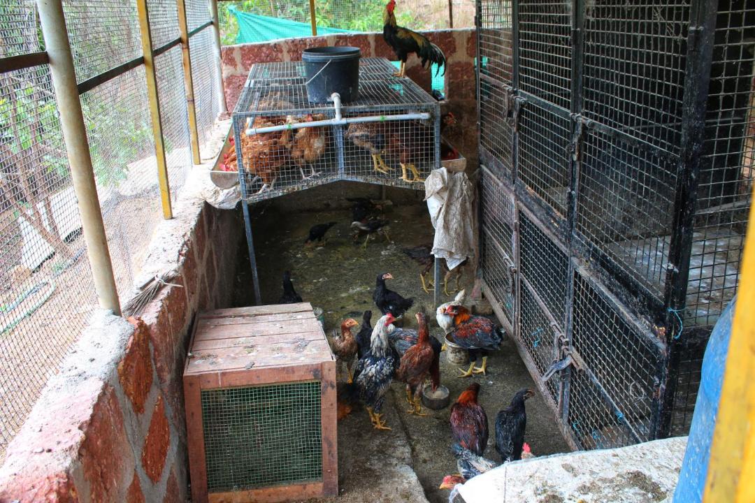 Photo of Others in Adyar