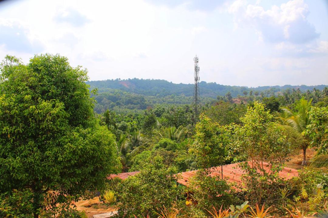 Photo of Others in Adyar