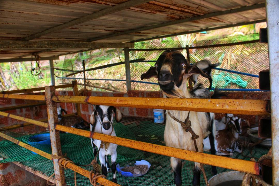 Photo of Others in Adyar