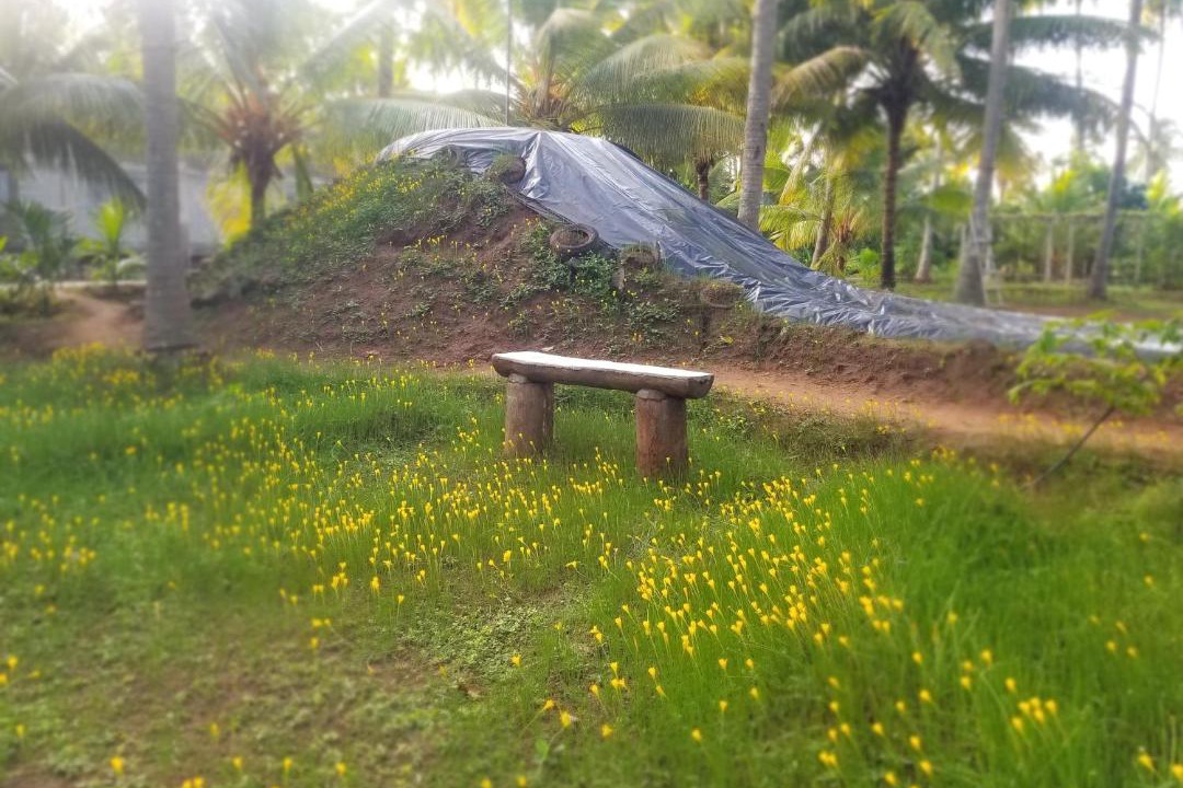Photo of Others in Anaimalai