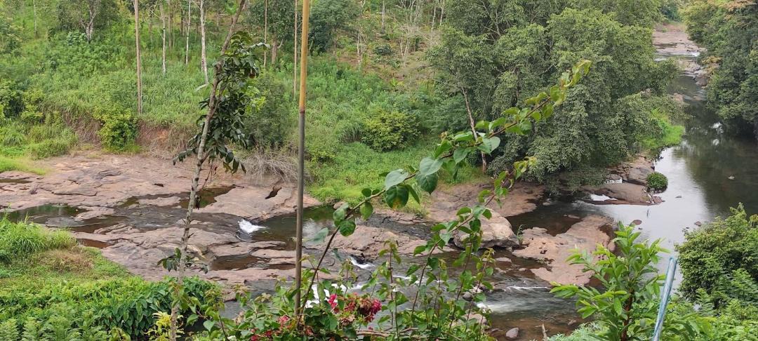 Photo of Others in Rajakkad