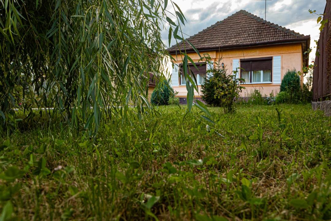 Photo of Others in Sighisoara