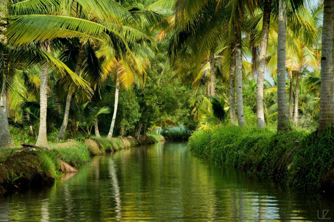 Photo of Others in Munroe Island