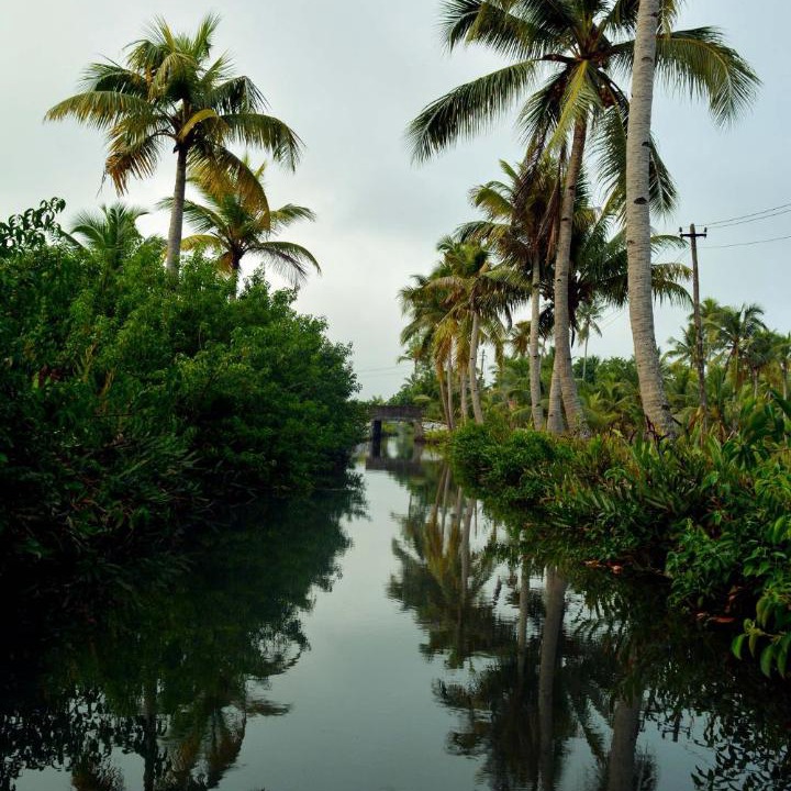 Photo of Others in Munroe Island