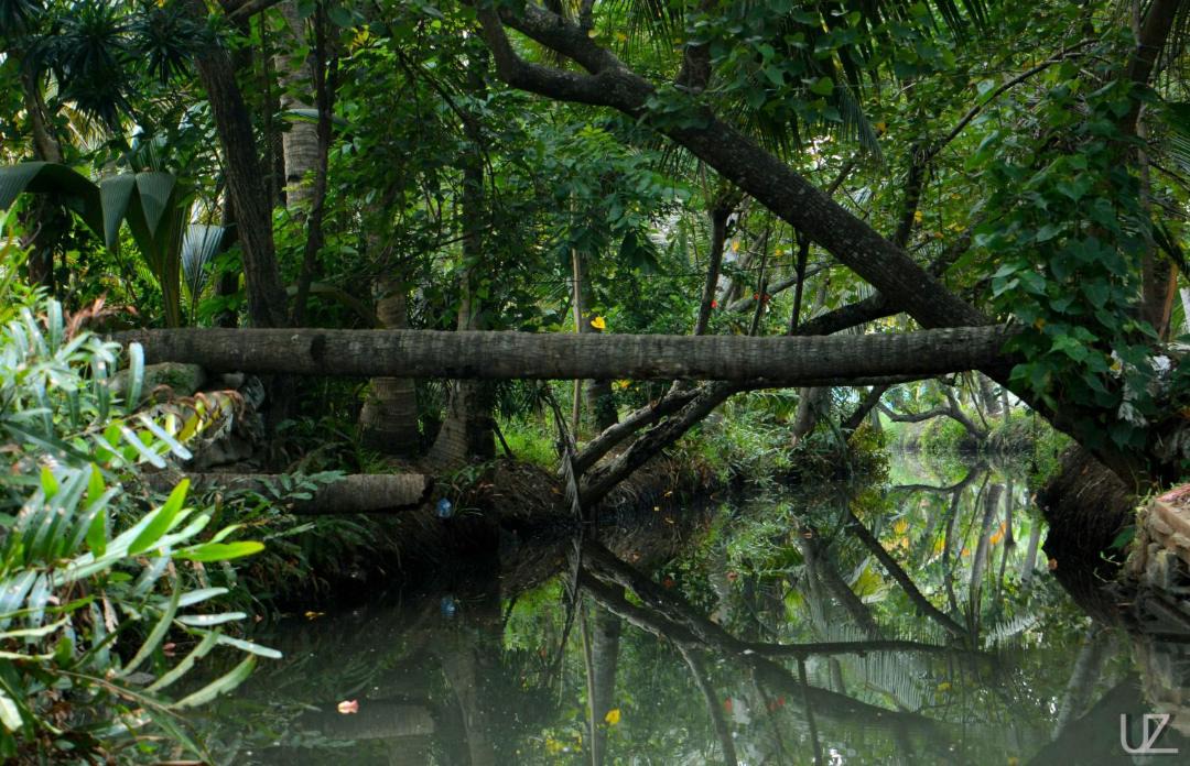 Photo of Others in Munroe Island