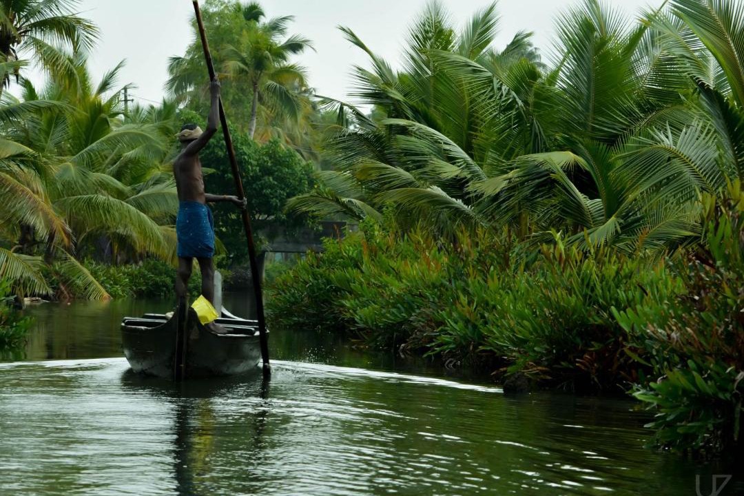 Photo of Others in Munroe Island
