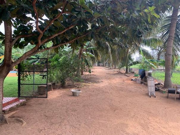 Photo of Others in Mandavi