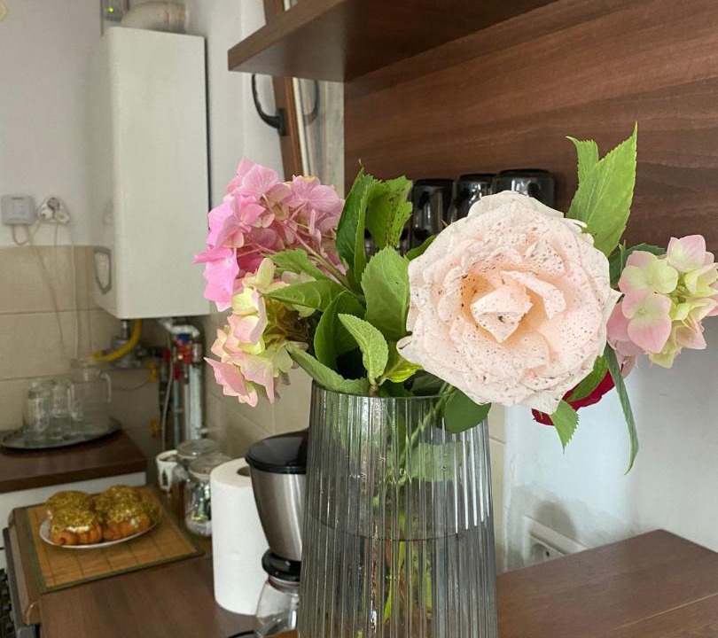 Photo of Kitchen in Sacele