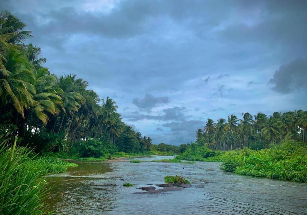 Photo of Others in Anaimalai