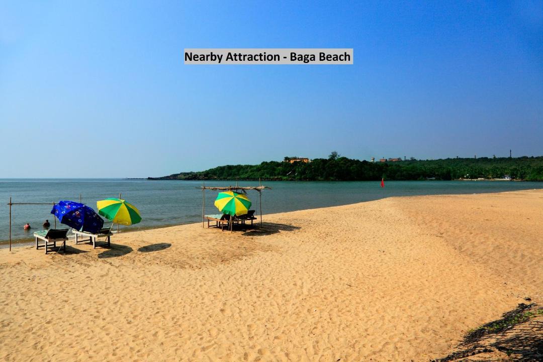 Photo of Others in Baga