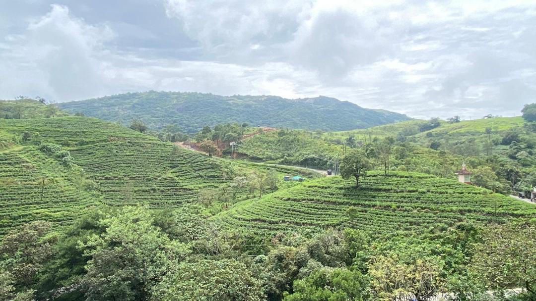 Photo of Others in Vagamon
