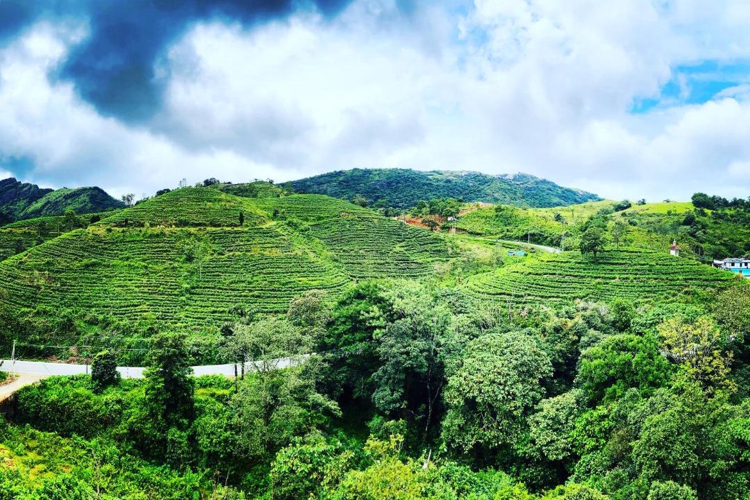 Photo of Others in Vagamon