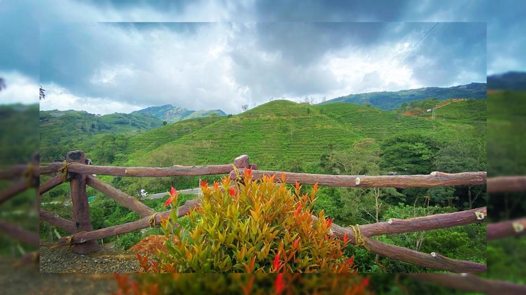 Photo of Others in Vagamon