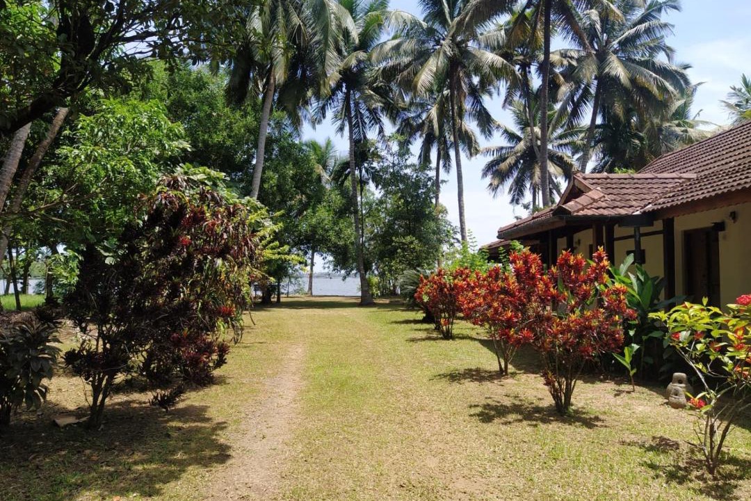Photo of Others in Kumbalangi