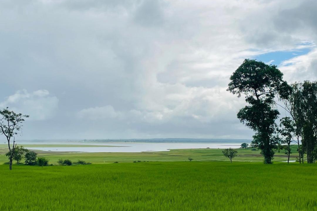 Photo of Others in Krishnarajanagara