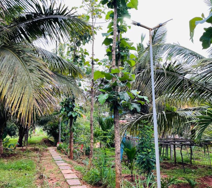 Photo of Others in Krishnarajanagara