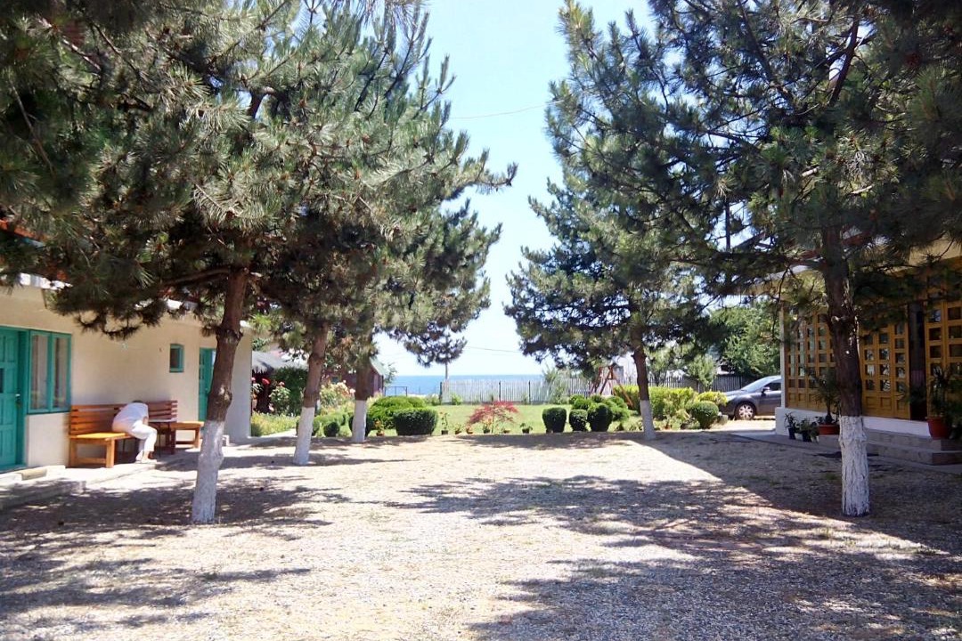 Photo of Others in Doua Mai