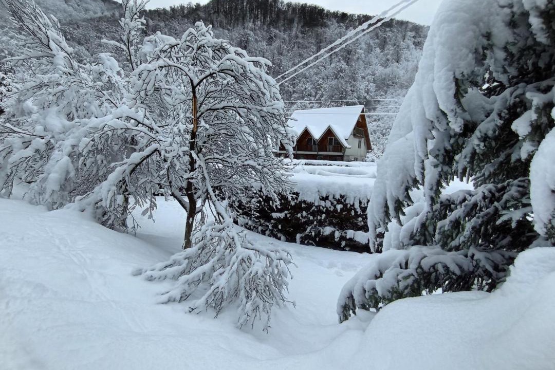 Photo of Others in Cugir