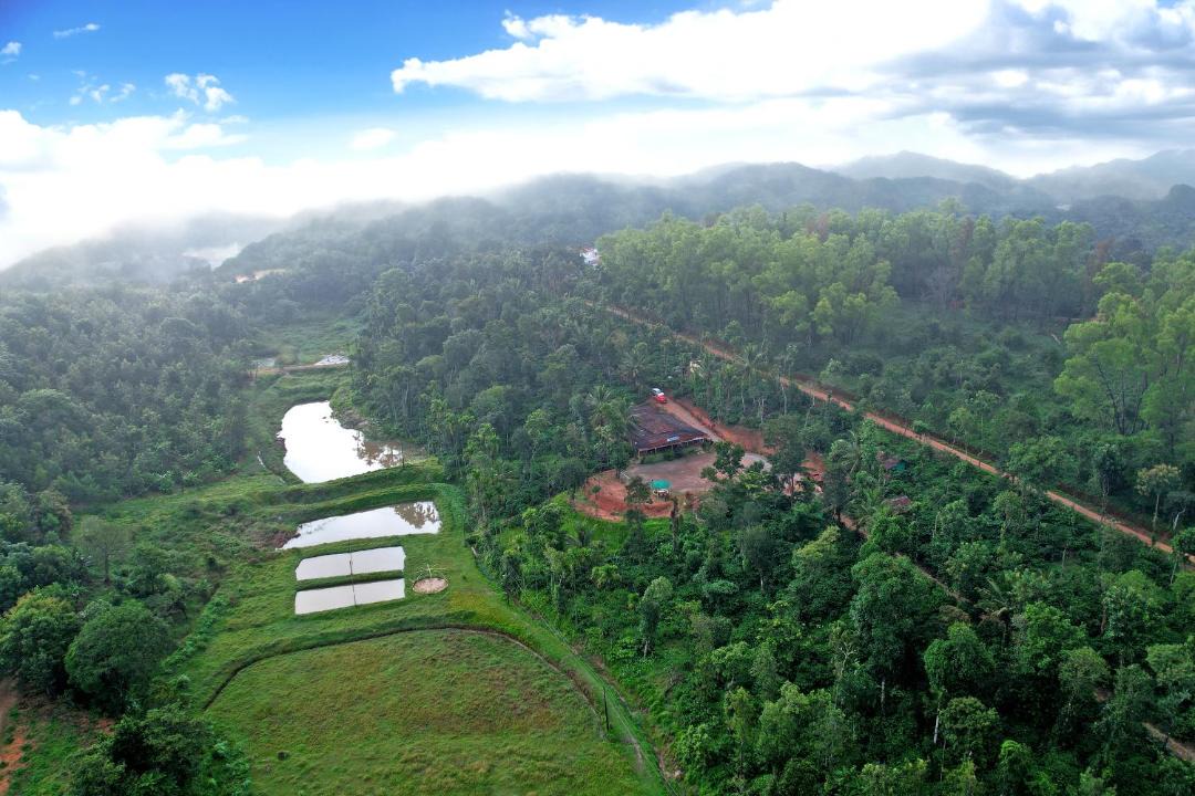 Photo of Others in Sakleshpur