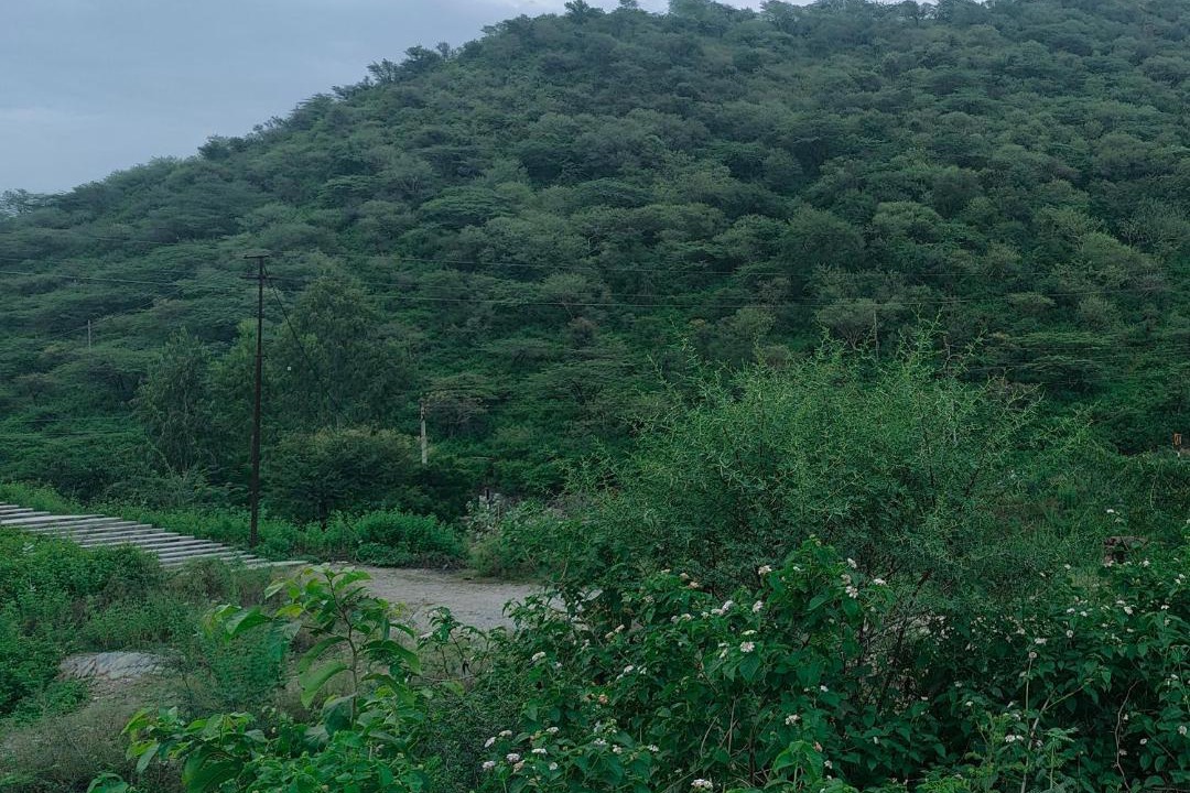 Photo of Others in Udaipur