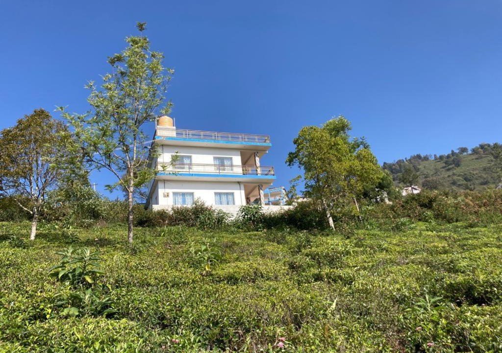 Photo of Others in Ooty