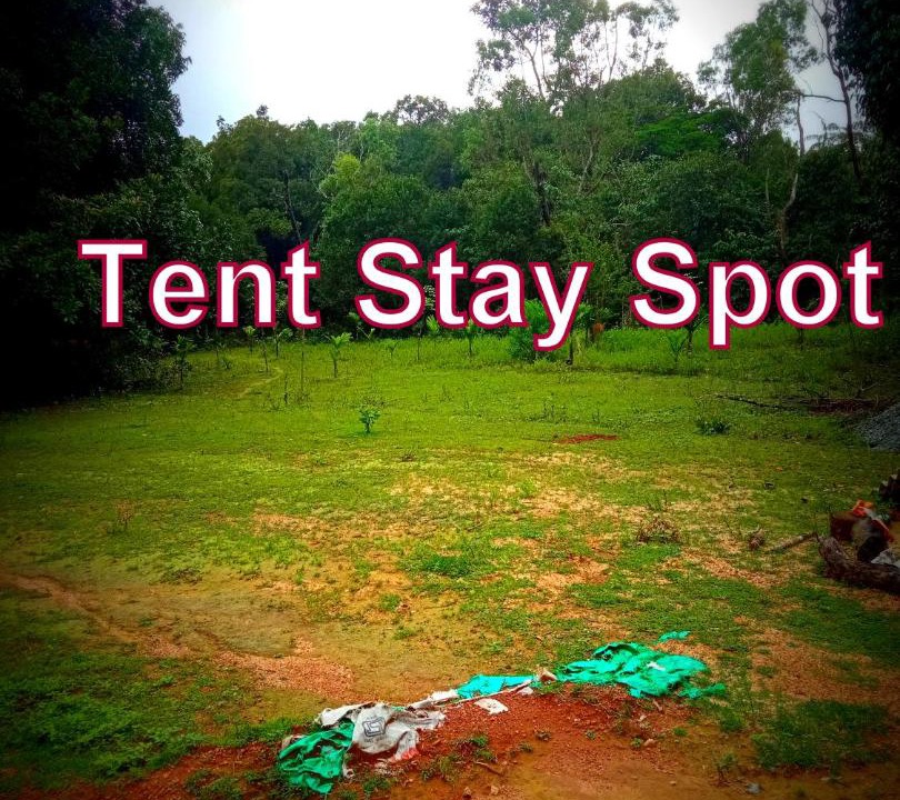 Photo of Others in Tirthalli